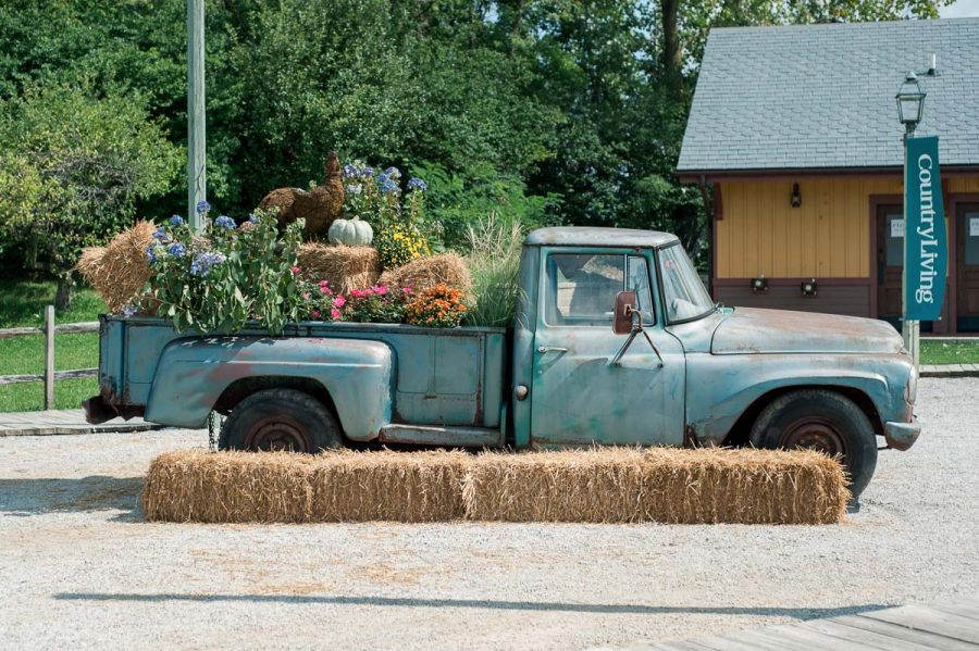 vintage truck with a bed full of flowers
